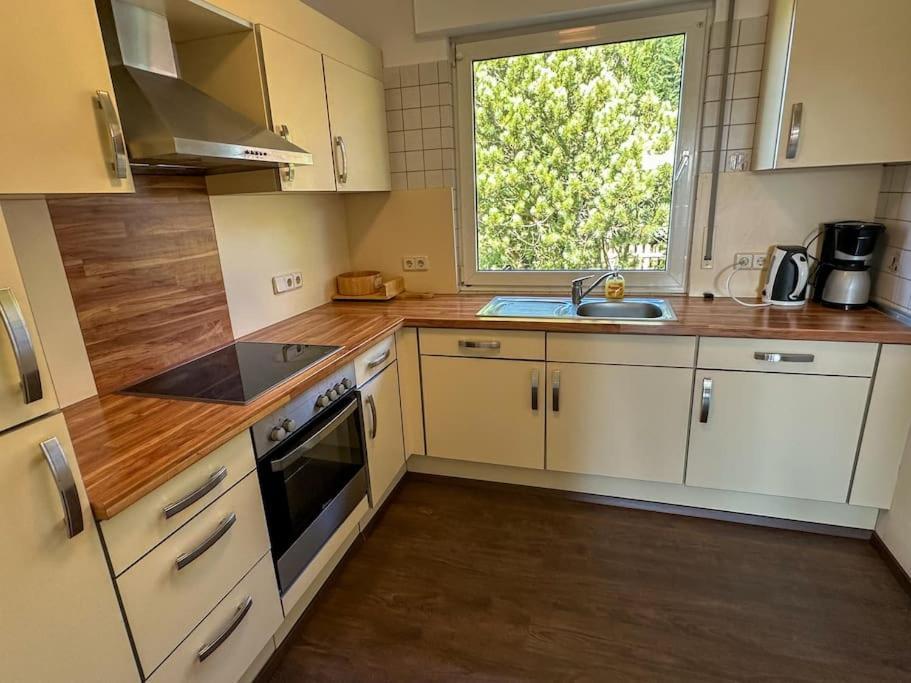 Benedenappartement In Met Uitzicht En Balkon Apartment Winterberg